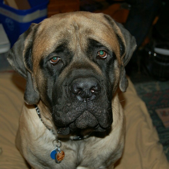 Meet your Posher, Maryann - Picture 3 of 4